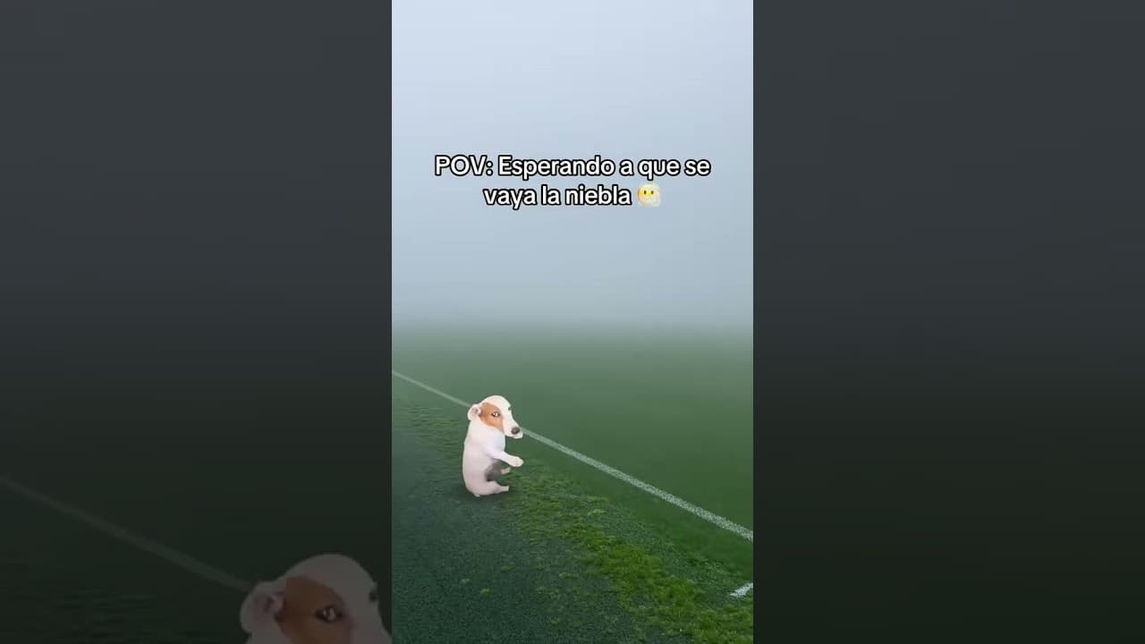 Maxresdefault