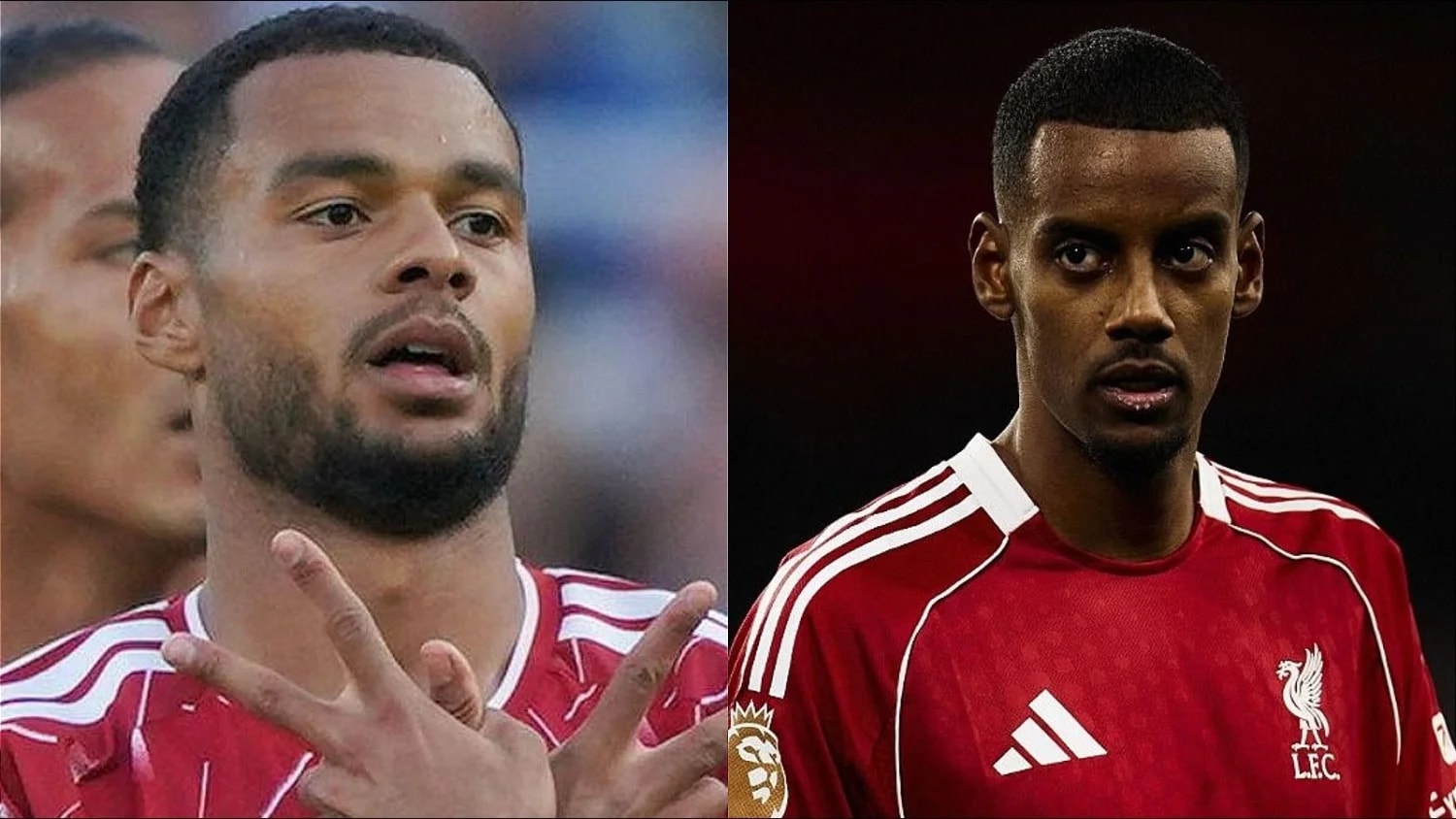 Liverpool lose Alexander Isak and Cody Gakpo for Man City showdown Liverpool lose Alexander Isak and Cody Gakpo for Man City showdown
