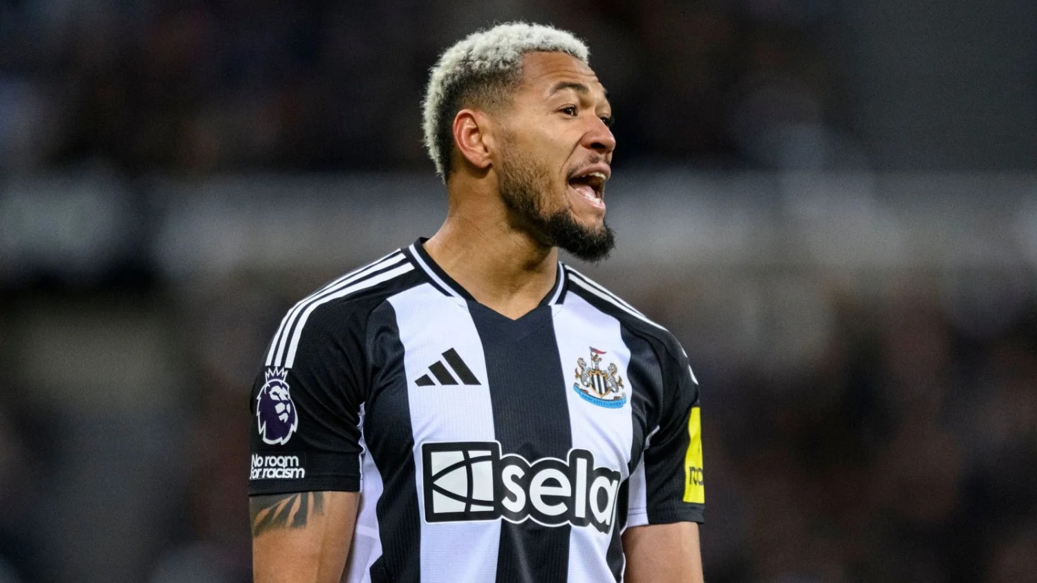'We are happy to have him back' - Newcastle get Joelinton boost ahead of Coventry trip 'We are happy to have him back' - Newcastle get Joelinton boost ahead of Coventry trip