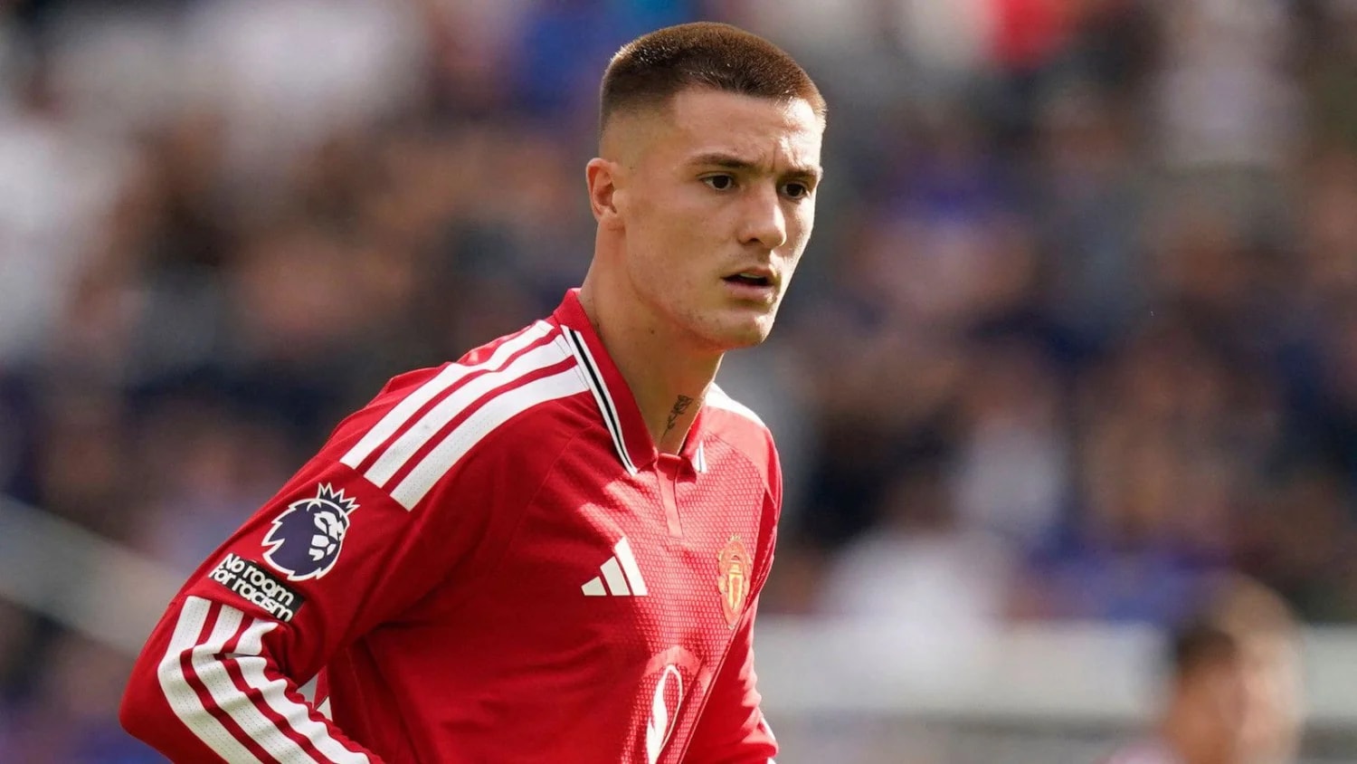 Man Utd's Benjamin Sesko withdrawn from Slovenia squad over shin injury Man Utd's Benjamin Sesko withdrawn from Slovenia squad over shin injury