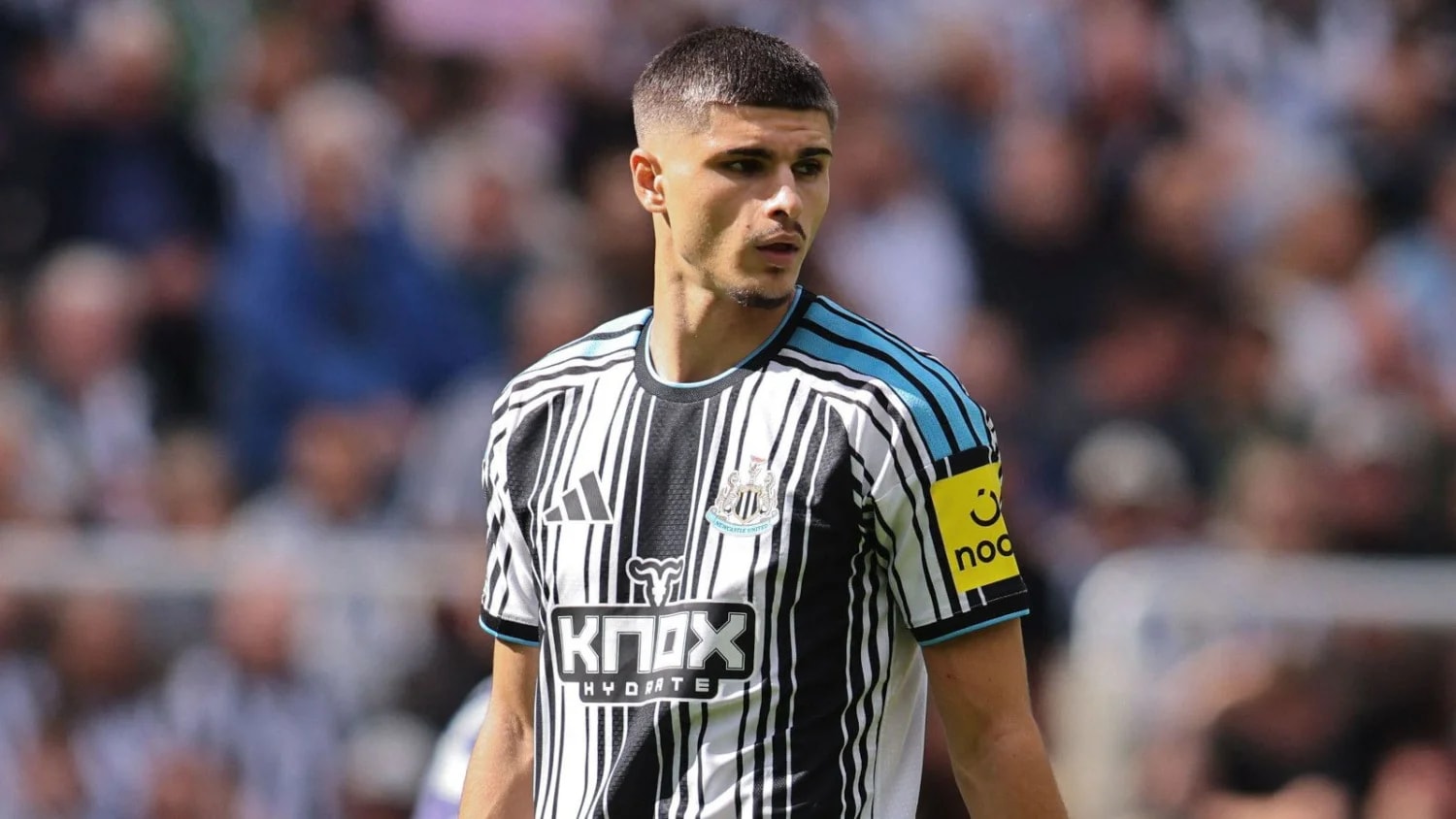 Newcastle forward Matias Fernandez-Pardo pushing for first start against Leeds Newcastle forward Matias Fernandez-Pardo pushing for first start against Leeds