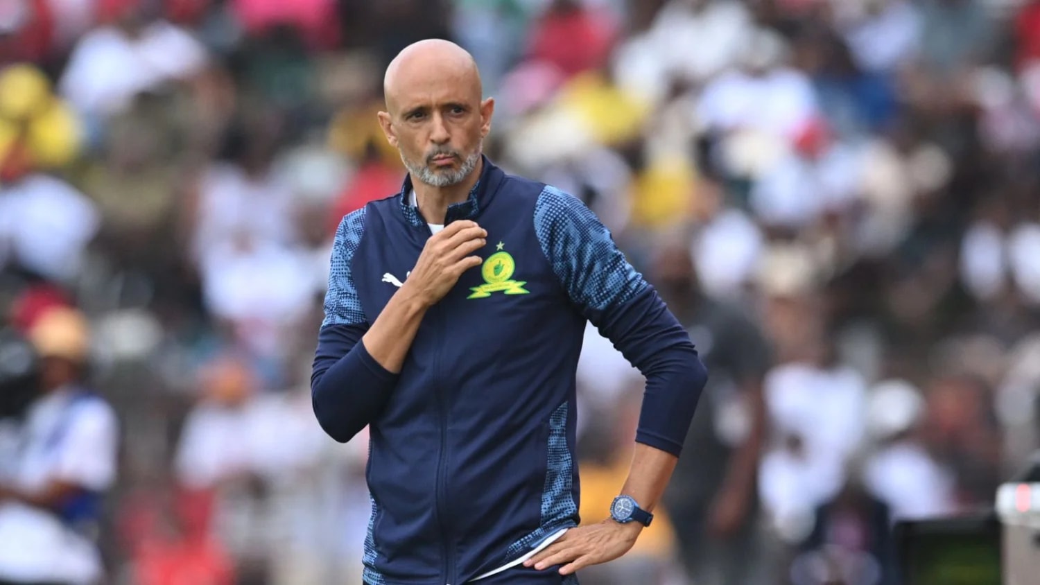 Miguel Cardoso explains why Mamelodi Sundowns need squad depth Miguel Cardoso explains why Mamelodi Sundowns need squad depth