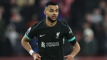 Cody Gakpo returns to Liverpool after Netherlands ankle injury Cody Gakpo returns to Liverpool after Netherlands ankle injury