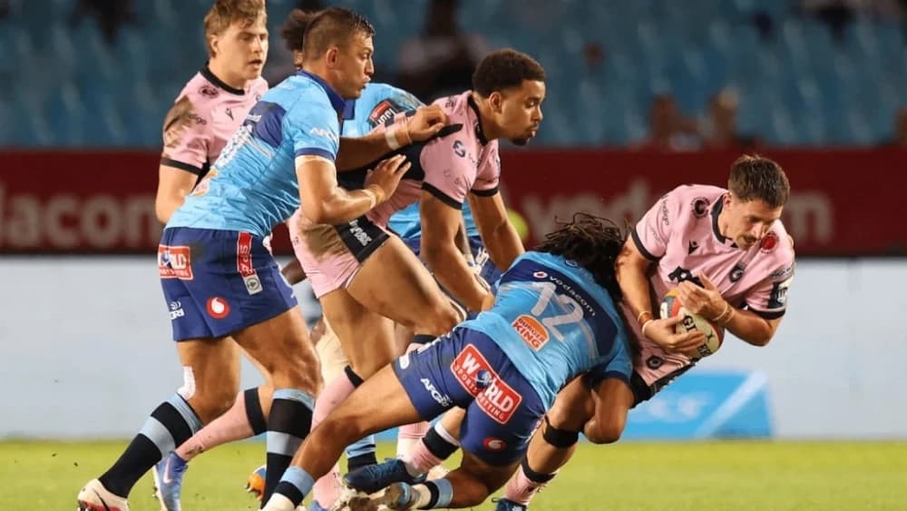 Rampant SA teams complete clean sweep