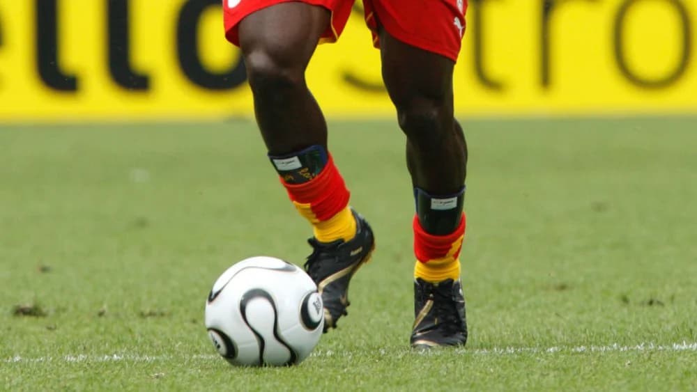 Lerumo Lions chairwoman slams Mkhanyiseli Siwahla's claims following departure Lerumo Lions chairwoman slams Mkhanyiseli Siwahla's claims following departure