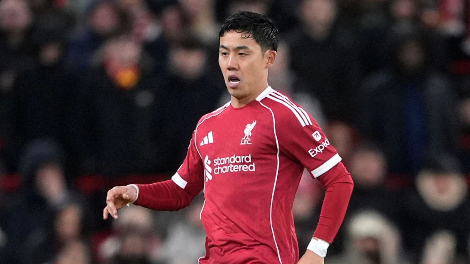 Wataru Endo ends Japan career after forced World Cup injury withdrawal blow Wataru Endo ends Japan career after forced World Cup injury withdrawal blow